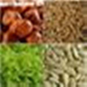 Витамин Е основа